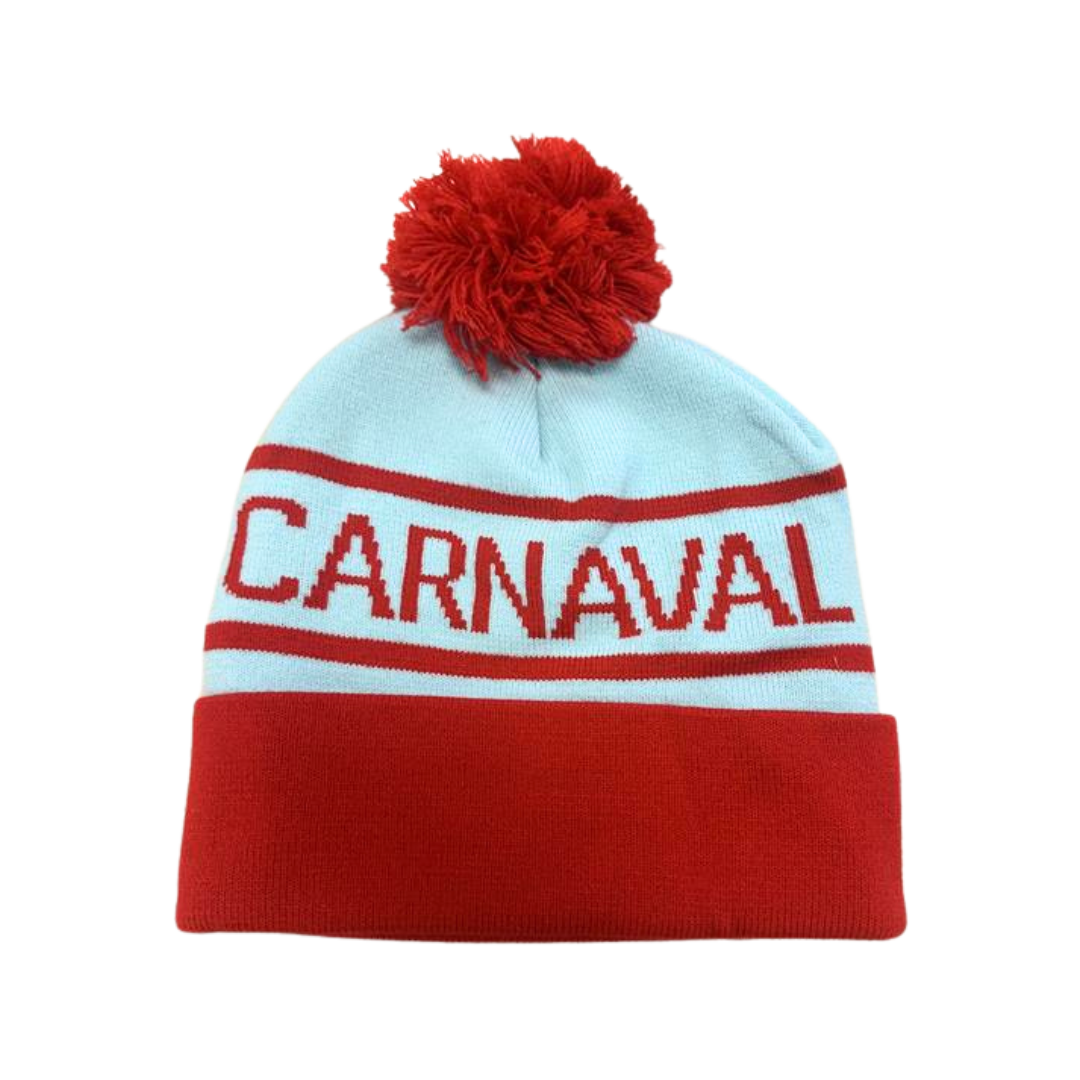Adult beanie - pale blue & red